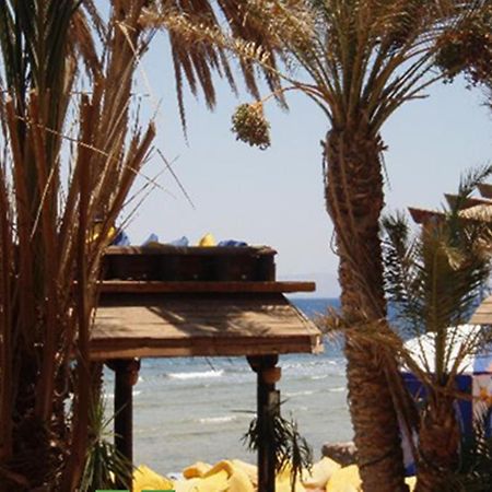 Penguin Village דהב מראה חיצוני תמונה