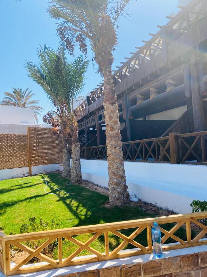 Penguin Village דהב מראה חיצוני תמונה