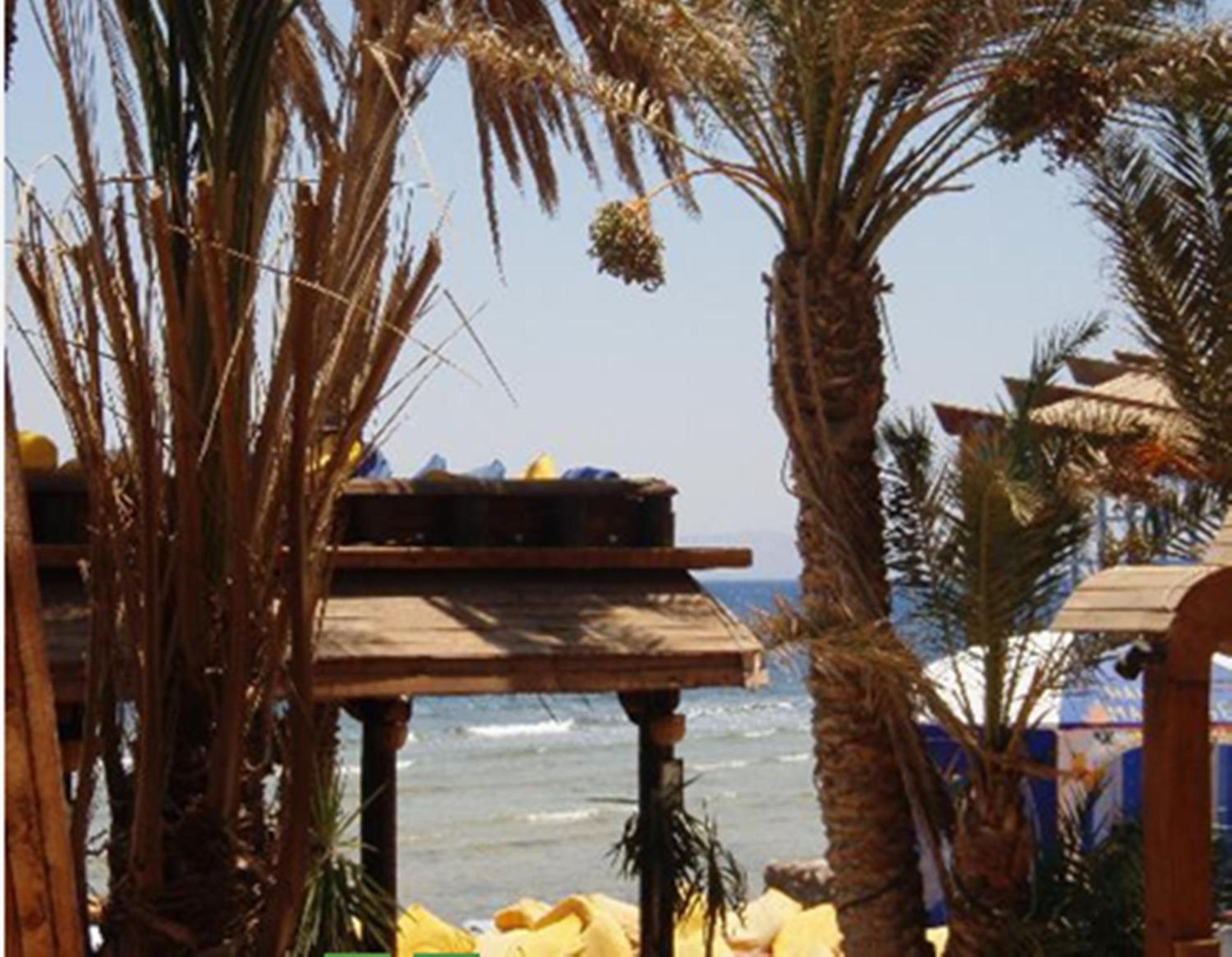 Penguin Village דהב מראה חיצוני תמונה