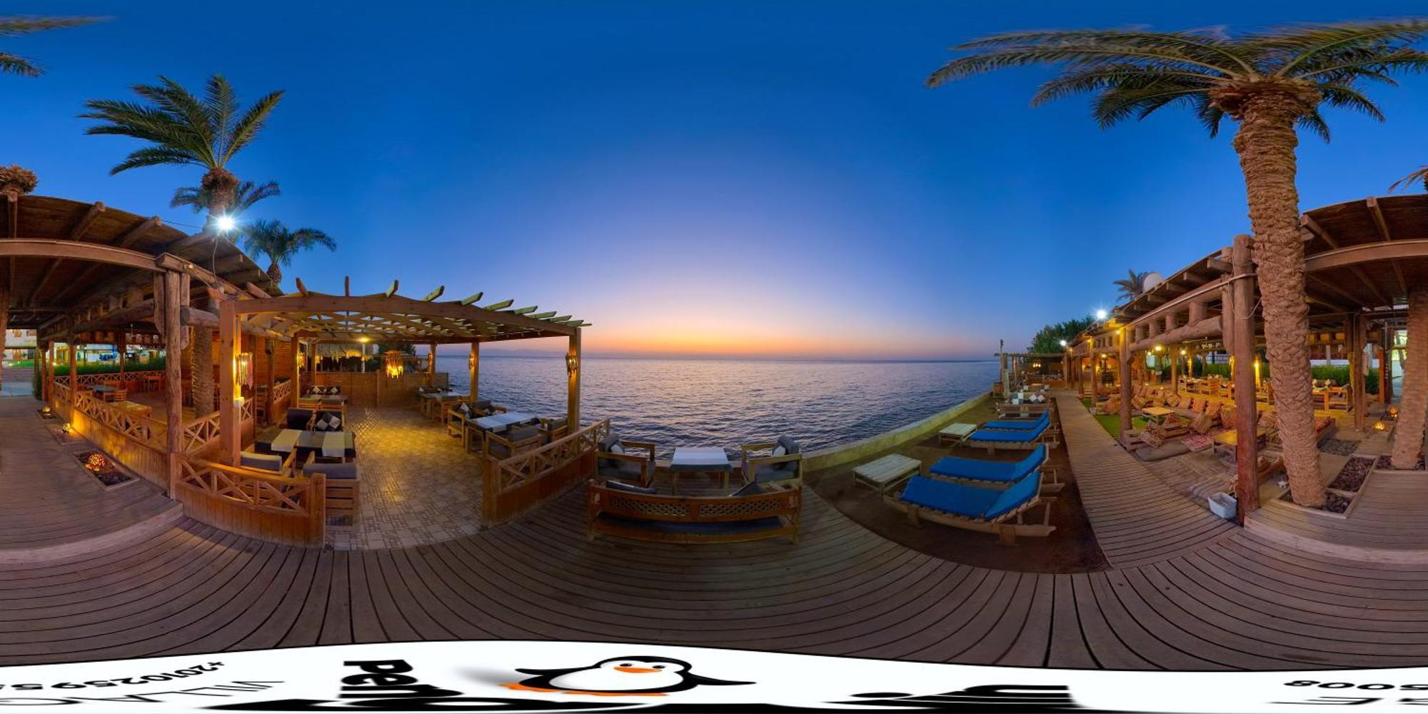 Penguin Village דהב מראה חיצוני תמונה