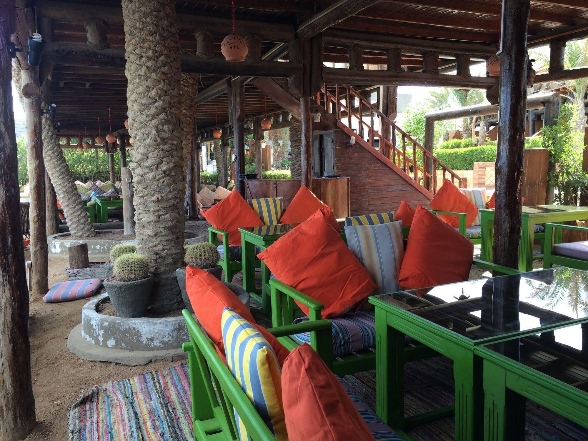Penguin Village דהב מראה חיצוני תמונה